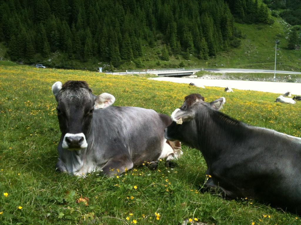 Landhaus Auen Neustift im Stubaital Extérieur photo